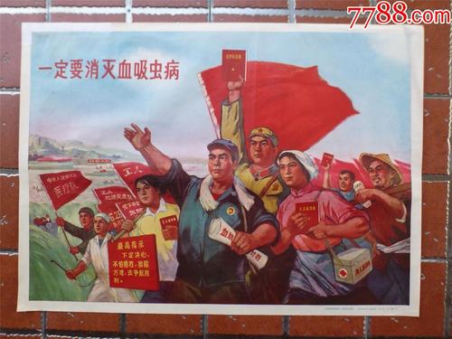 小国家样本照片